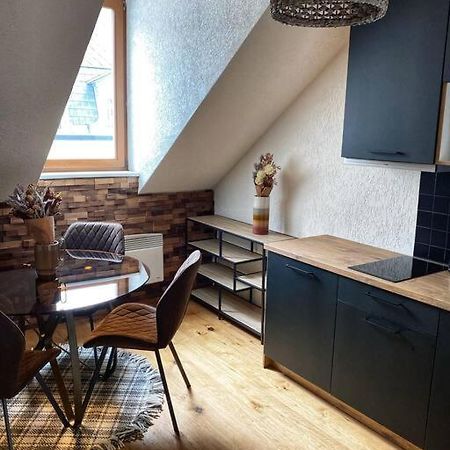 Cozy And Warm Apartment In The Heart Of Karlsbad Eksteriør bilde
