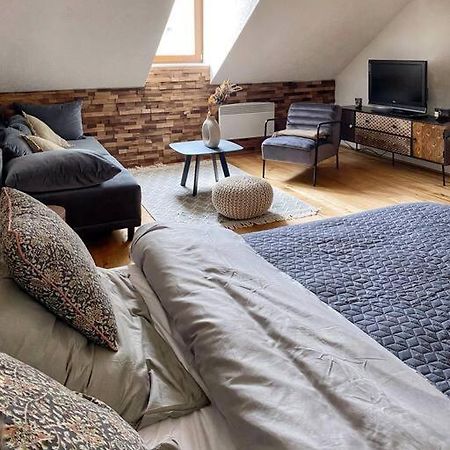 Cozy And Warm Apartment In The Heart Of Karlsbad Eksteriør bilde